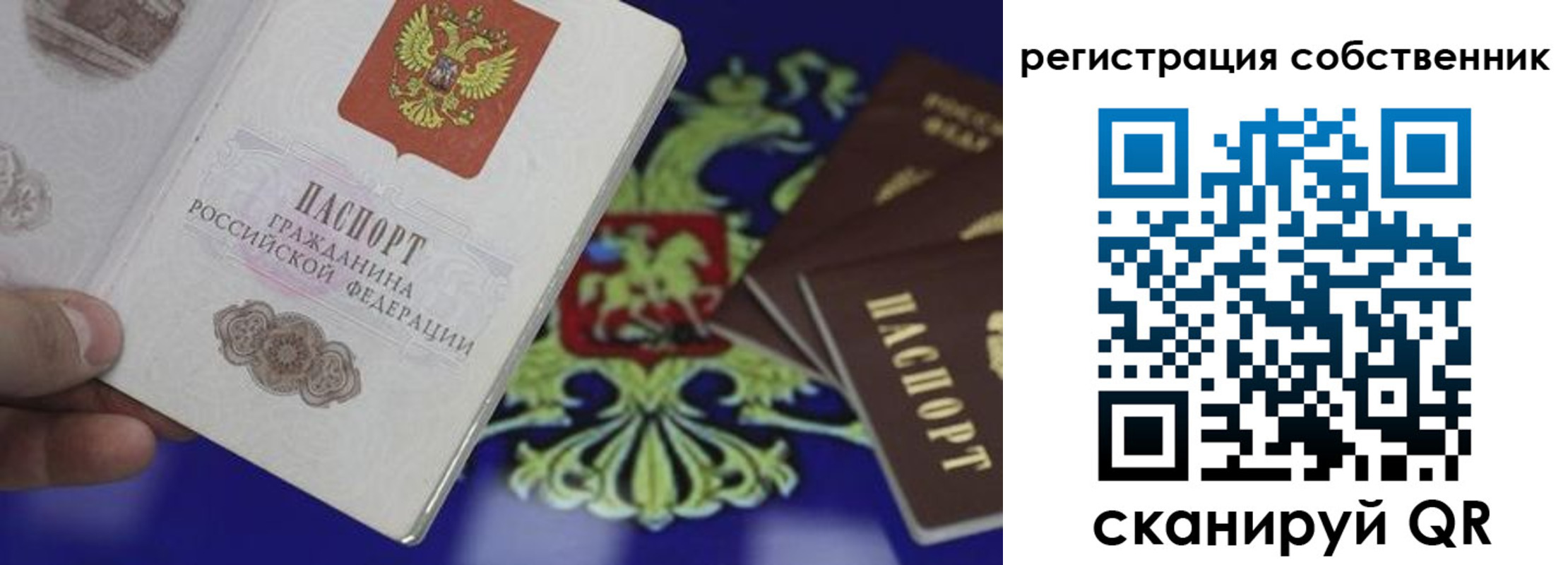 временная регистрация надежно в Снежногорске